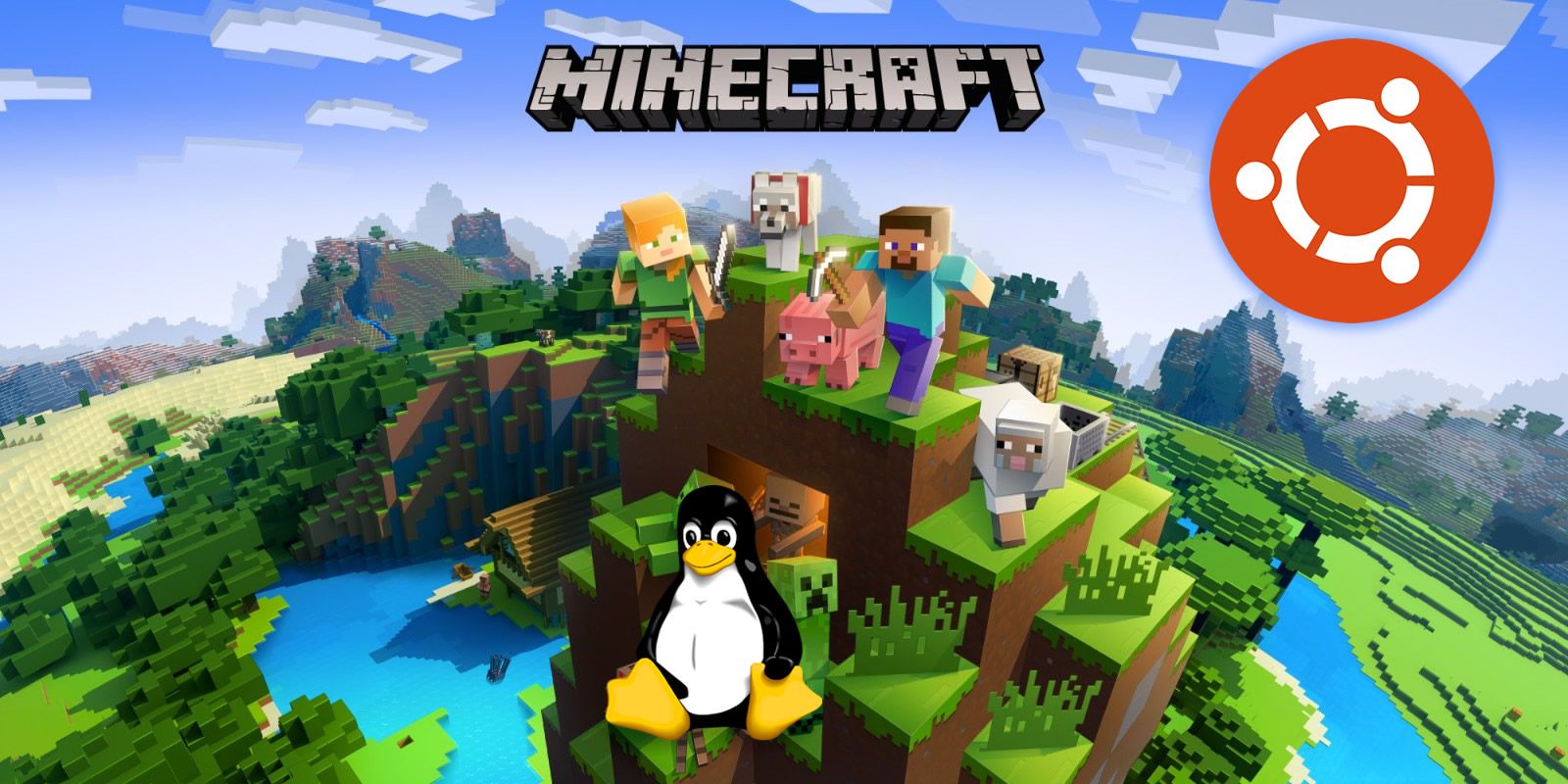 Un serveur Minecraft privé